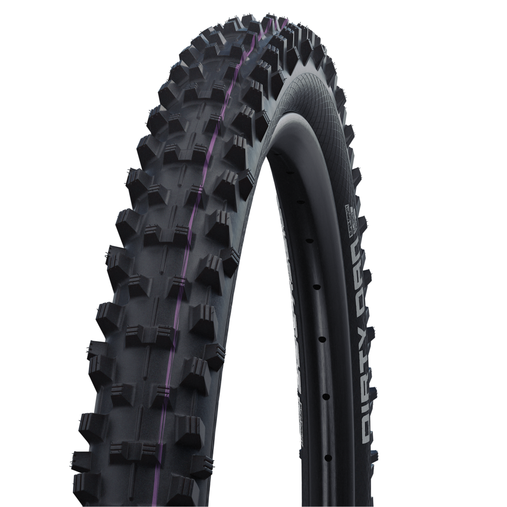 Schwalbe shop dh tyres