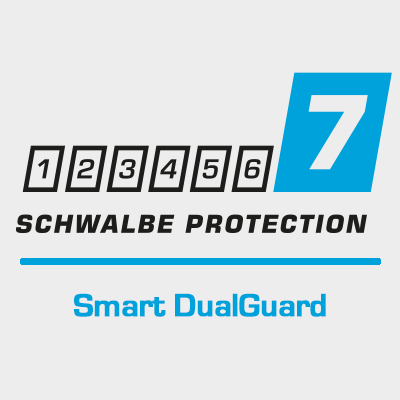 Smart DualGuard