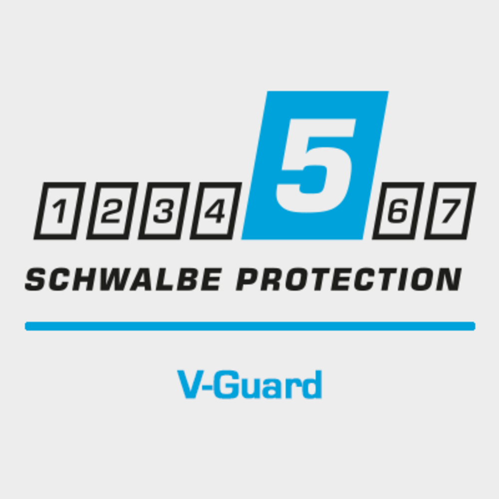 V-Guard