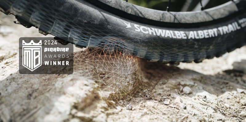 Product of the year winning Radial tires
